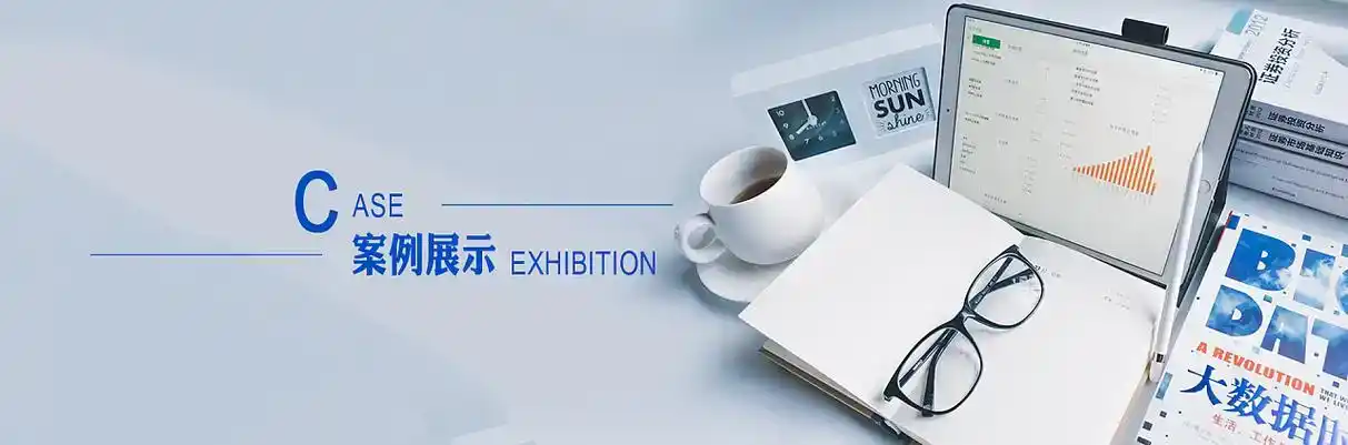 软件开发